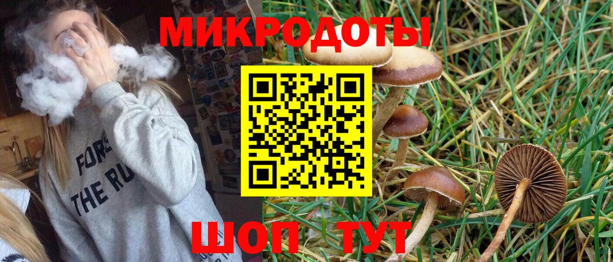 Галлюциногенные грибы Magic Shrooms Новокуйбышевск