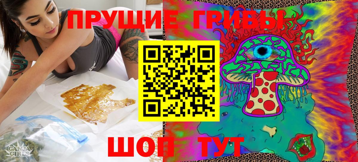 Галлюциногенные грибы мицелий  Вход с VPN  Новокуйбышевск  Галлюциногенные грибы мухоморы 